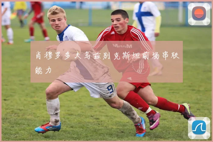 肖穆罗多夫乌兹别克斯坦前场串联能力