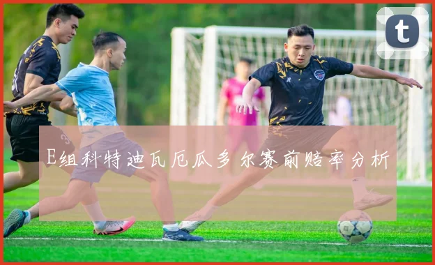 E组科特迪瓦厄瓜多尔赛前赔率分析