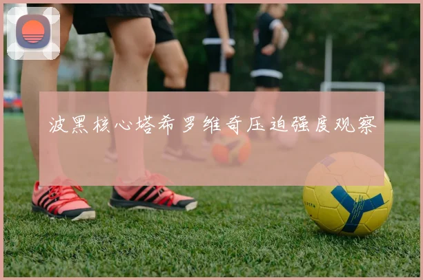 波黑核心塔希罗维奇压迫强度观察