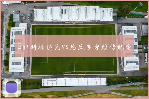 E组科特迪瓦vs厄瓜多尔短传配合