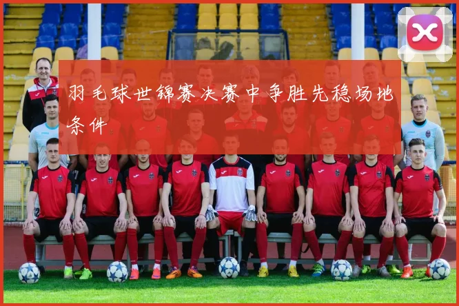 羽毛球世锦赛决赛中争胜先稳场地条件