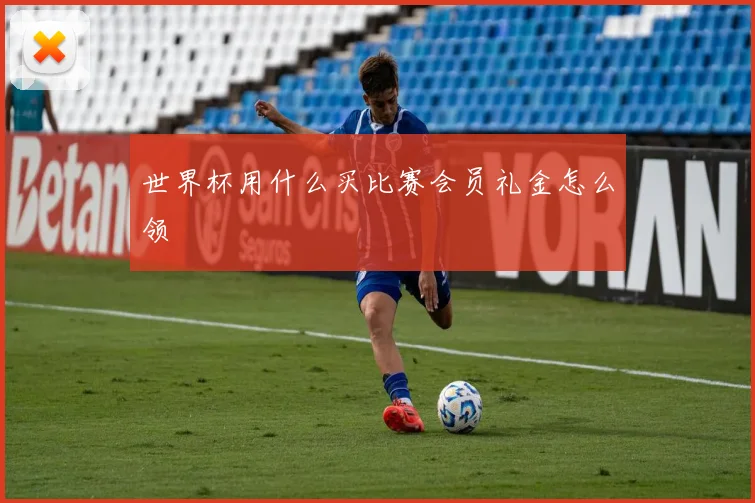世界杯用什么买比赛会员礼金怎么领