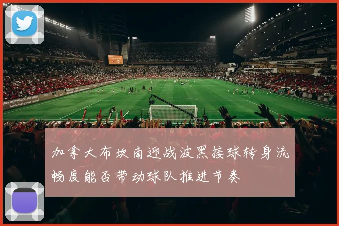 加拿大布坎南迎战波黑接球转身流畅度能否带动球队推进节奏