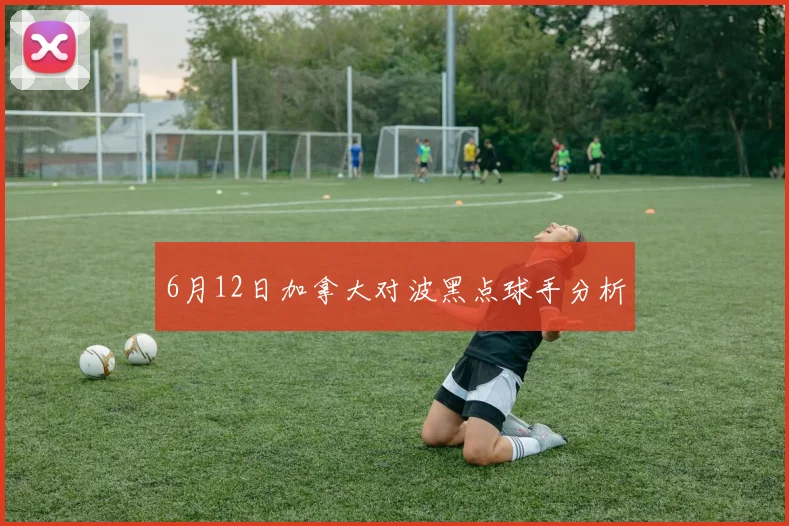 6月12日加拿大对波黑点球手分析