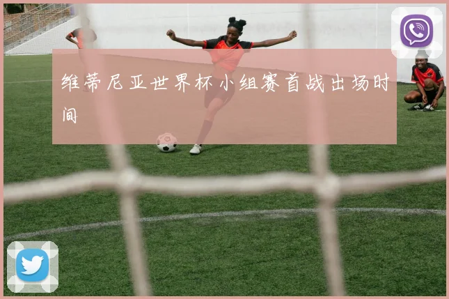 维蒂尼亚世界杯小组赛首战出场时间